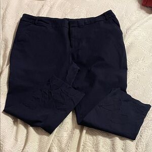 Time and Tru Women's Navy Ankle Pants